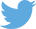 Twitter_logo_blue 29px